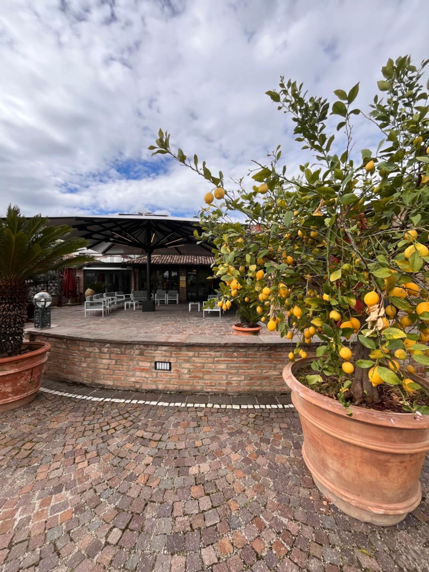 Agriturismo La Sapienza Monestirolo Kültér fotó